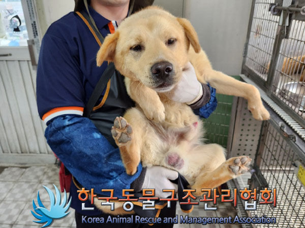 한국동물구조관리협회_441414202300390
